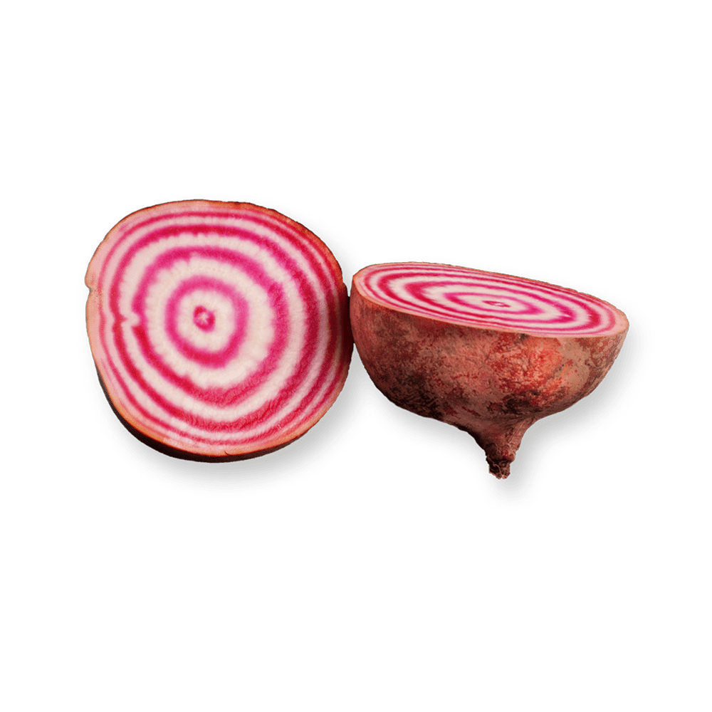 A beet with rings of pink and white